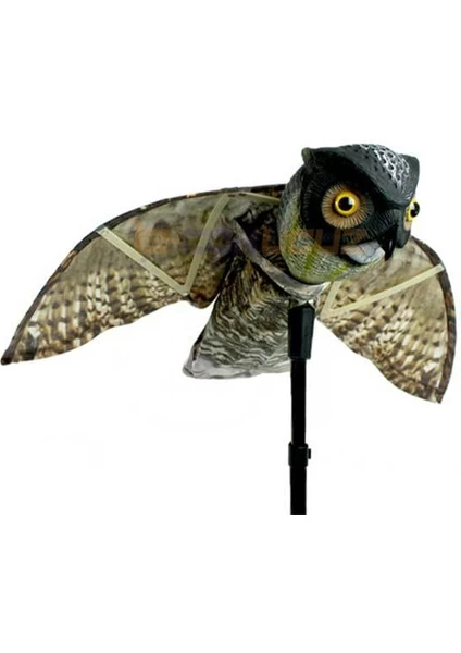 Bird-X Prowler Owl Kuş Maket Baykuş