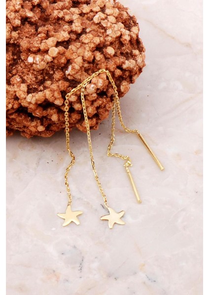 Deniz Yıldızı Altın Yaldızlı Gümüş Zincir Küpe 5197
