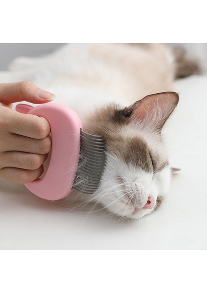 Kedi/ Köpek Pet Masaj Fırçası (Yurt Dışından) fiyatları