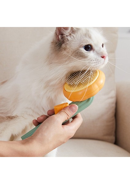 Kedi Bakım Fırçası Tarak (Yurt Dışından) fiyatları