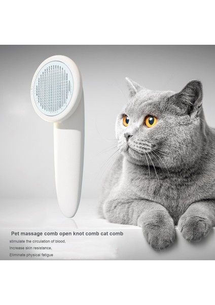 Pet Kedi Tarak Masaj Bakım (Yurt Dışından) fırsatları