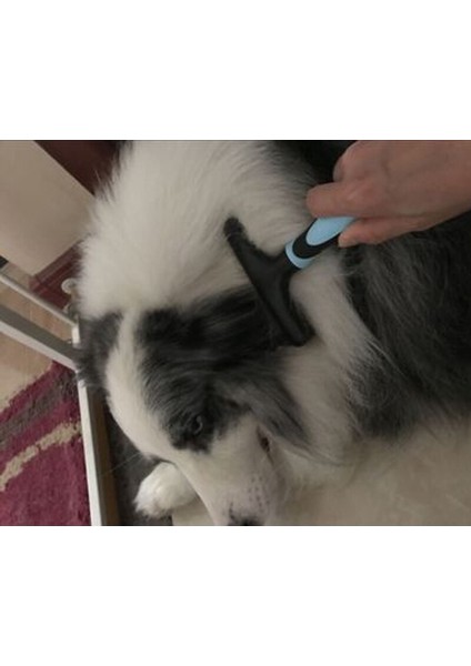 Pet Masaj Tarak Tüy Dökülme Aracı (Yurt Dışından) modelleri