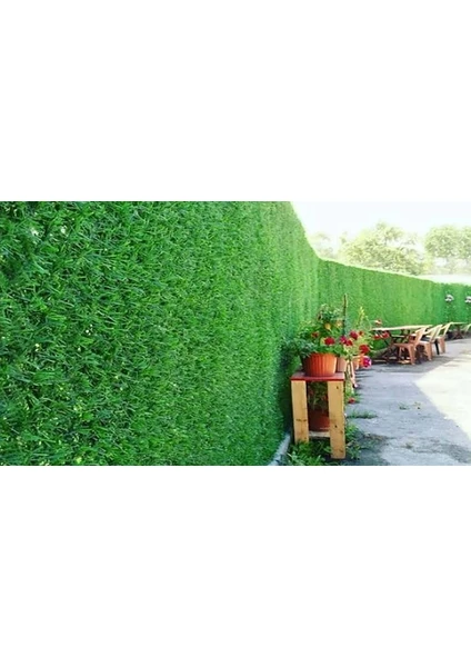 Garden World Çim Çit Örgü Telli Bahçe Çiti 100 cm x 5 mt