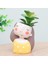 Güzel Kız Karikatür Reçine Saksı Masaüstü Mini Kaktüs Bonsai Craft Vazo B (Yurt Dışından) 3