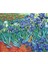 Lilart Puzzle Vincent Van Gogh-Irisler 286 Parça 1