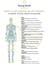 Aromatherapy Yoga Life Collection Acceptance / Forgiveness / Freedom 8