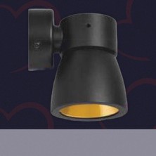 Cata Alaçatı Ray Spot Armatür Ct 5419