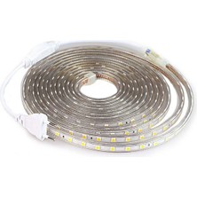 Cata 3 Çip 220 V Kare Hortum LED 100 mt