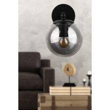 Begüsa Yağmur Aplik Siyah-Füme Glop Camlı