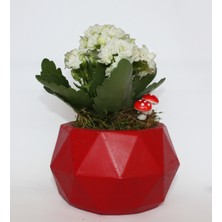 Echo Pot Echopot Li̇kya Seri̇si̇ Kırmızı Saksı