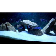 Mevadd Akvaryum Kumu Beyaz Kalsit Silis Akvaryum Kumu 1 - 2 mm 5 Kg