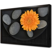 Tablosan Turuncu Aster ve Spa Taşları Çerçeveli Cam Tablo