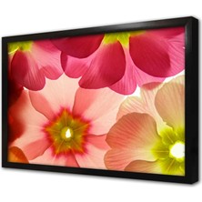 Tablosan Çiçek Illüzyon Çerçeveli Cam Tablo