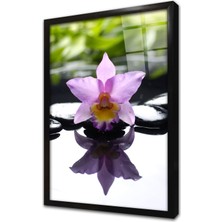 Tablosan Spa Taşları ve Orkide Çerçeveli Cam Tablo