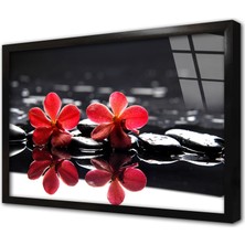 Tablosan Spa Taşları ve Orkide Çerçeveli Cam Tablo