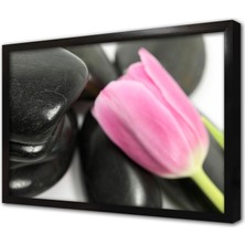 Tablosan Taşın Üzerinde Pembe Gül Çerçeveli Cam Tablo