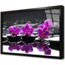 Tablosan Spa Taşları ve Orkide Çerçeveli Cam Tablo