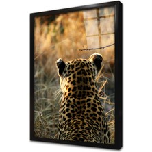 Tablosan Vahşi Doğa Kaplan Çerçeveli Cam Tablo