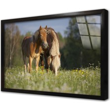 Tablosan At Çerçeveli Cam Tablo