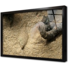 Tablosan Denizaltı Çerçeveli Cam Tablo