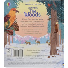 Look Inside The Woods