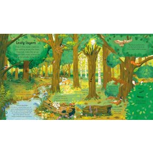Look Inside The Woods