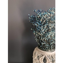 Florbar Şoklanmış Cipso Mavi  Kuru Çiçek - 45 cm