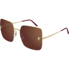 Alexander McQueen Cartier Kadın Güneş Gözlüğü Cartier Güneş Gözlüğü CT0121S 003