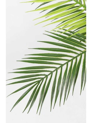 Hediye Vitrini Palmiye Yaprağı 9 Dallı Demet Yapay Areka Yaprağı 40 cm