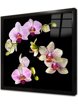 Tablosan Lila Rengi Çiçekler Çerçeveli Cam Tablo