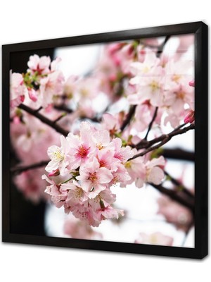Tablosan Pembe Çiçekler Çerçeveli Cam Tablo