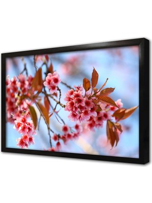 Tablosan Çiçek Çerçeveli Cam Tablo