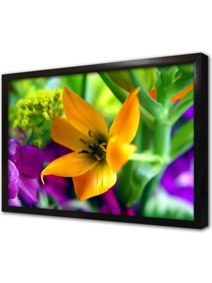 Tablosan Sarı Çiçek Makro Çekim Çerçeveli Cam Tablo