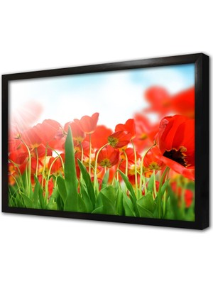 Tablosan Kırmızı Çiçekler Çerçeveli Cam Tablo