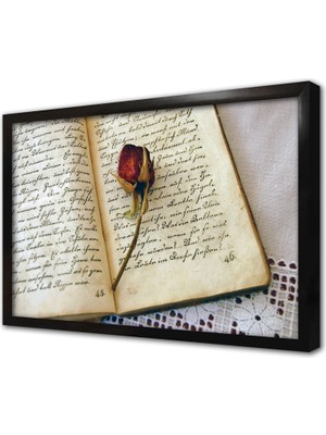 Tablosan Kitabın Arasındaki Gül Çerçeveli Cam Tablo