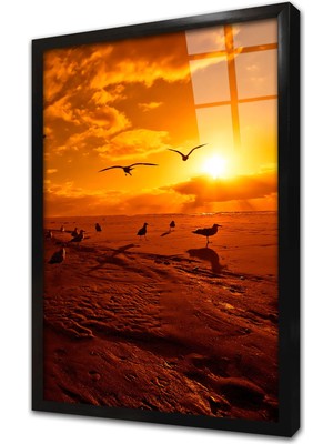 Tablosan Gün Batımında Martılar Çerçeveli Cam Tablo