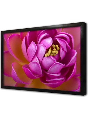 Tablosan Çiçek Çerçeveli Cam Tablo