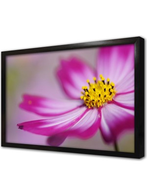 Tablosan Lila Rengi Çiçek Çerçeveli Cam Tablo