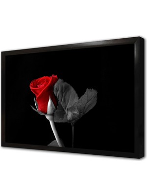 Tablosan Siyah Fonda Kırmızı Gül Çerçeveli Cam Tablo