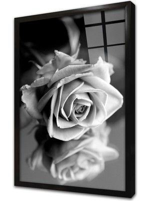 Tablosan Gri Gül Çerçeveli Cam Tablo