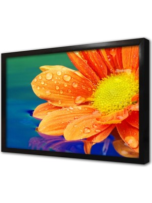 Tablosan Çiçek Çerçeveli Cam Tablo