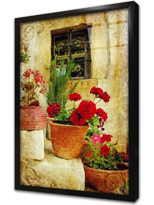 Tablosan Merdiven Üstünde Saksılar Çerçeveli Cam Tablo