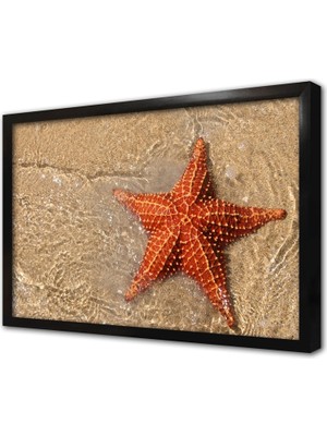 Tablosan Kumsalda Deniz Yıldızı Çerçeveli Cam Tablo