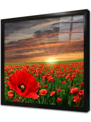 Tablosan Kırmızı Çiçek Tarlası Çerçeveli Cam Tablo