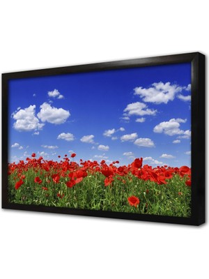 Tablosan Kırmızı Gelincik Çerçeveli Cam Tablo