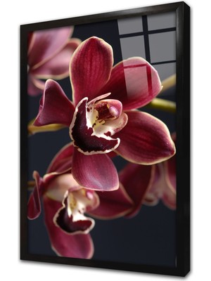 Tablosan Çiçek Çerçeveli Cam Tablo