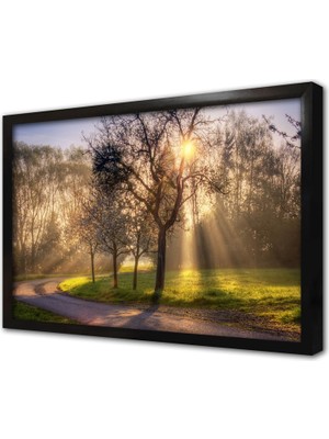 Tablosan Orman Çerçeveli Cam Tablo