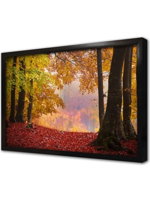 Tablosan Orman Çerçeveli Cam Tablo