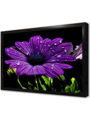 Tablosan Mor Çiçek ve Su Damlacıkları Çerçeveli Cam Tablo