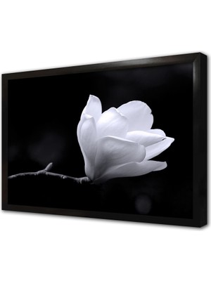 Tablosan Saf Beyaz Çiçek Çerçeveli Cam Tablo